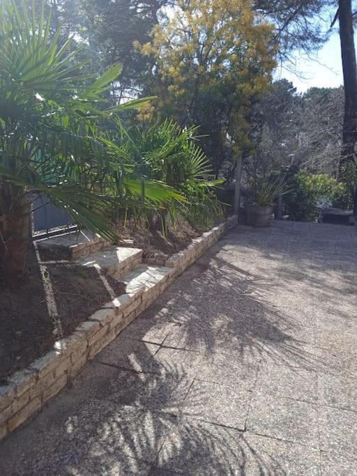 Maison Au Dessus Du Lac De Biscarrosse Luaran gambar