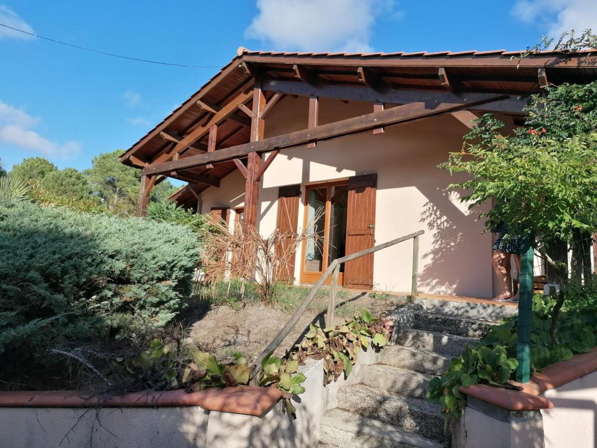 Maison Au Dessus Du Lac De Biscarrosse Luaran gambar